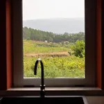 Casa vacanze Recanto De Passos - Amarante